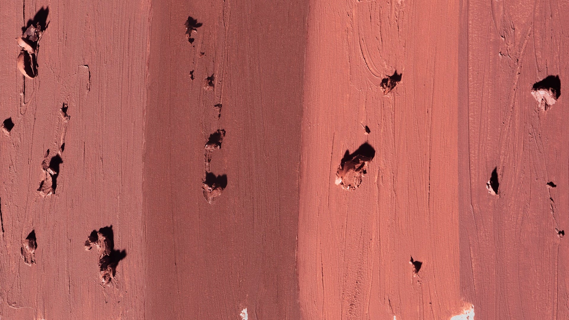 A close-up of a textured reddish-brown surface with horizontal bands and small dark debris or bumps scattered across it.